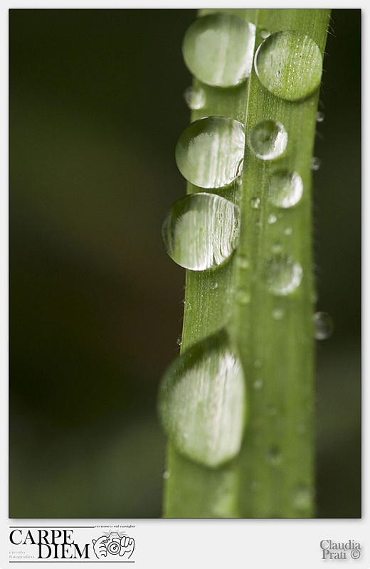 Come due gocce d'acqua.jpg